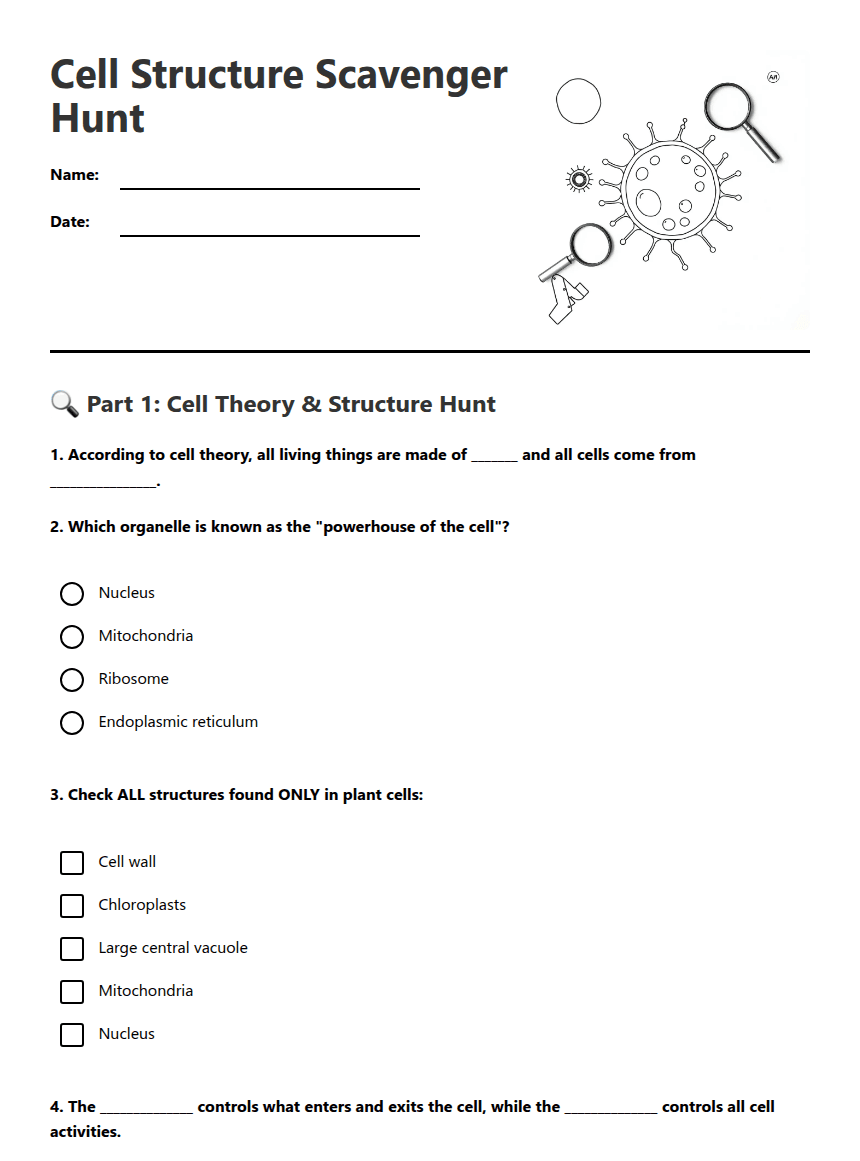 Cell Structure Scavenger Hunt worksheet preview