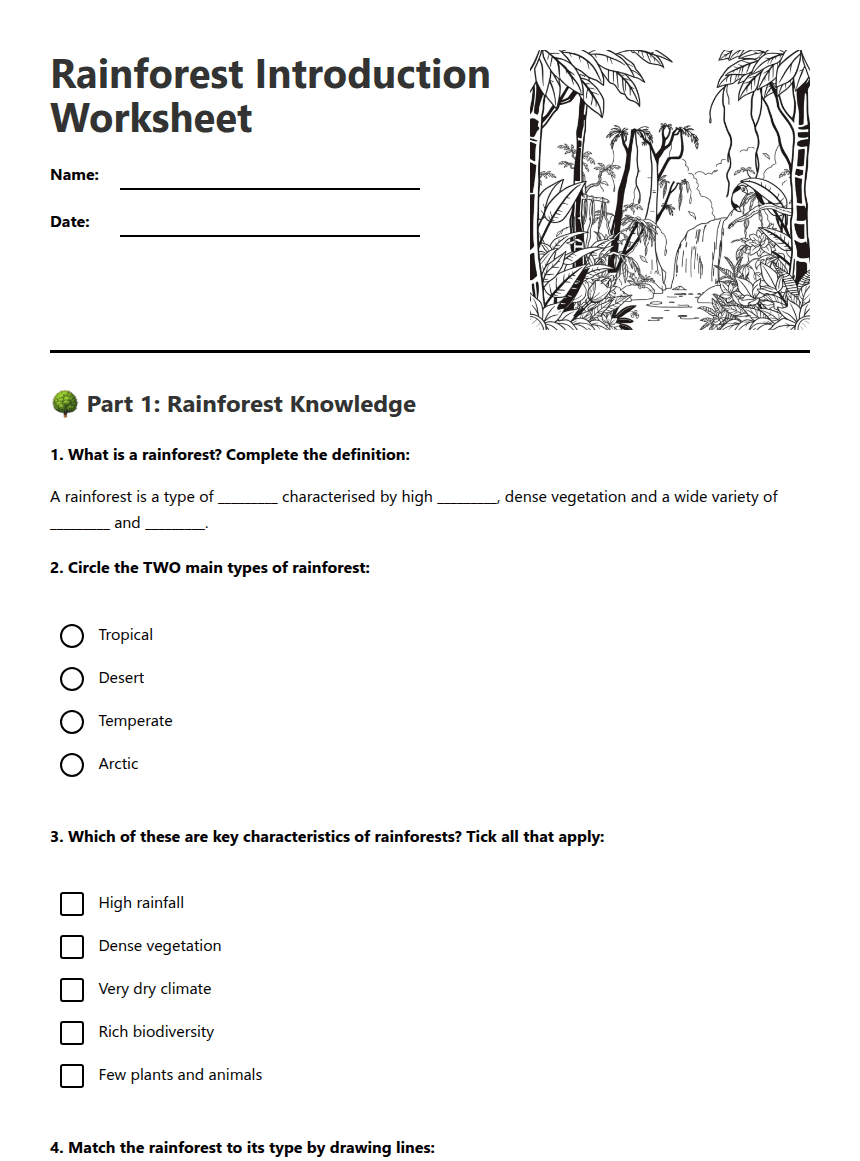 Rainforest Introduction Worksheet worksheet preview