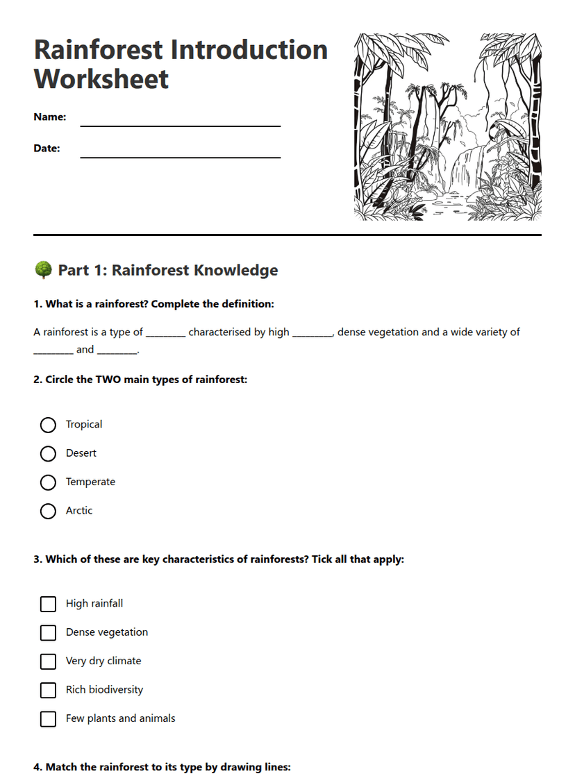 Rainforest Introduction Worksheet