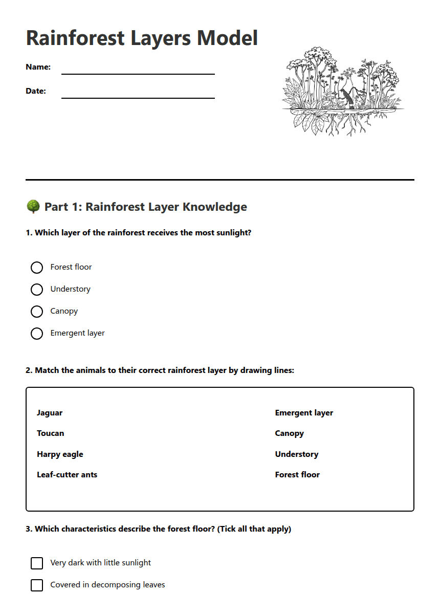 Rainforest Layers Model worksheet preview