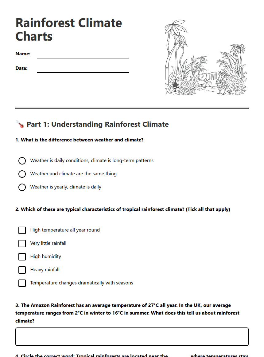 Rainforest Climate Charts worksheet preview