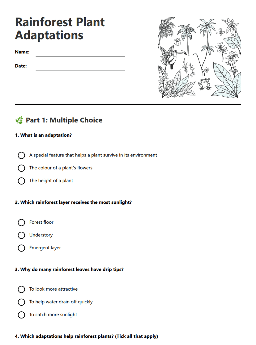 Rainforest Plant Adaptations