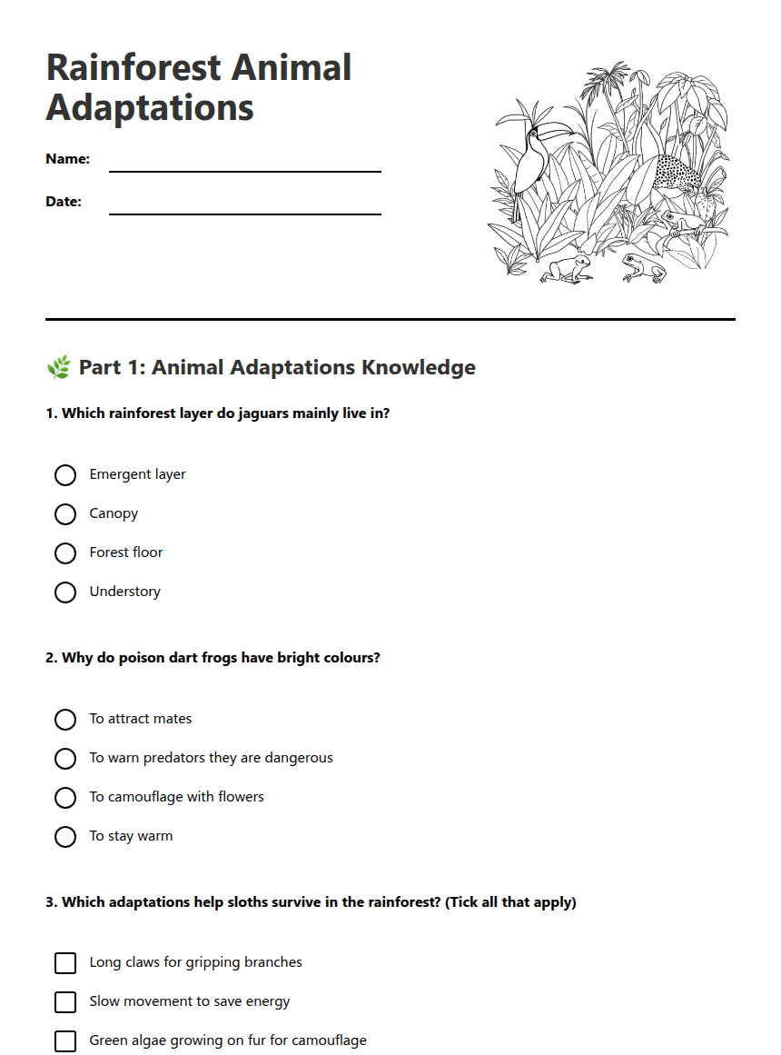 Rainforest Animal Adaptations worksheet preview