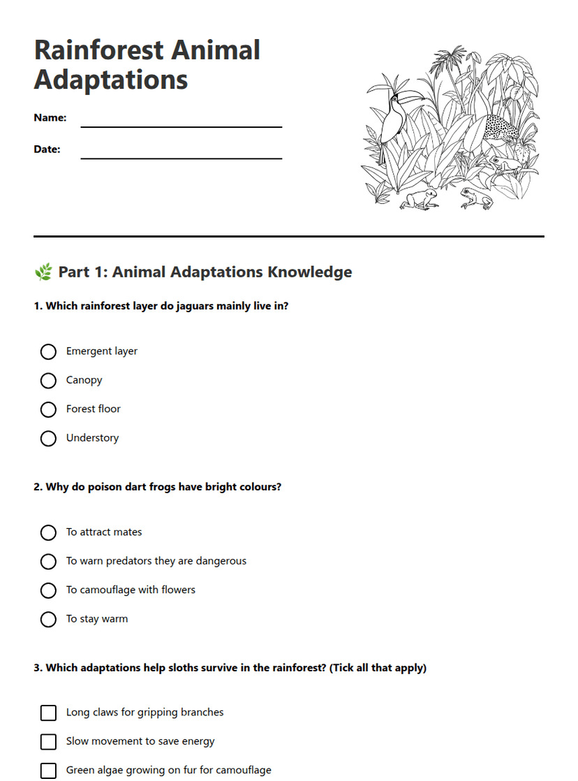 Rainforest Animal Adaptations