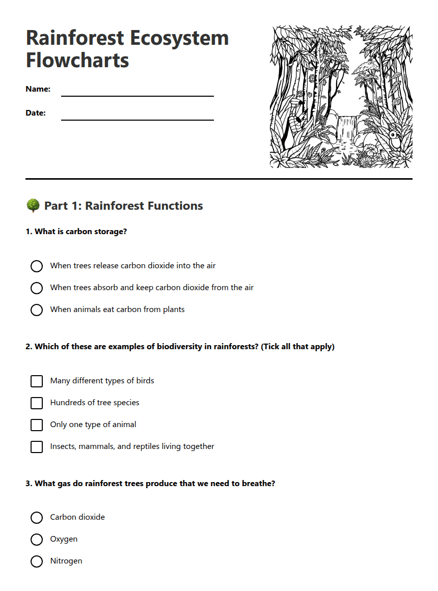 Rainforest Ecosystem Flowcharts worksheet preview