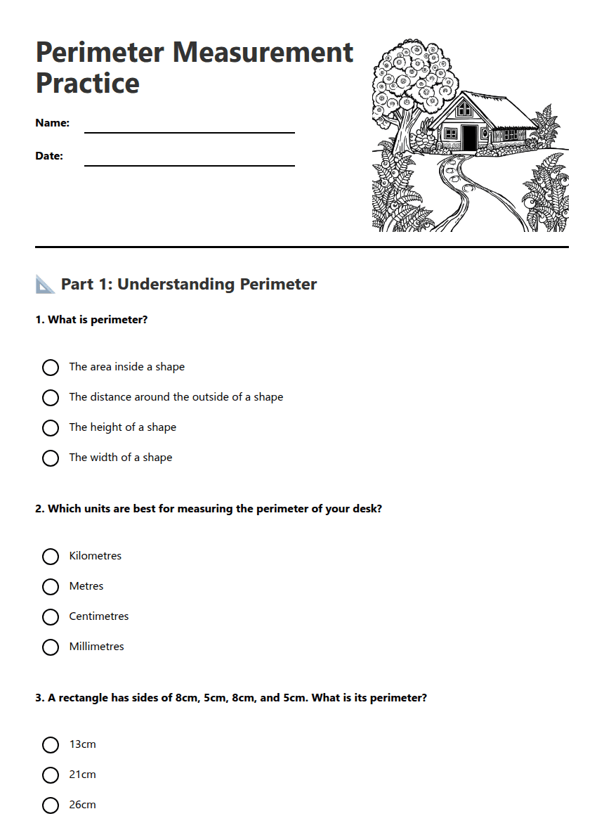 Perimeter Measurement Practice worksheet preview