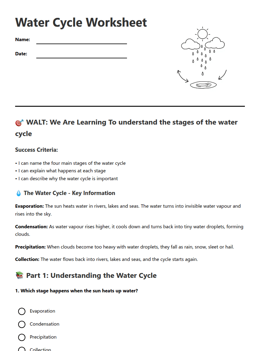 Water Cycle Worksheet worksheet preview