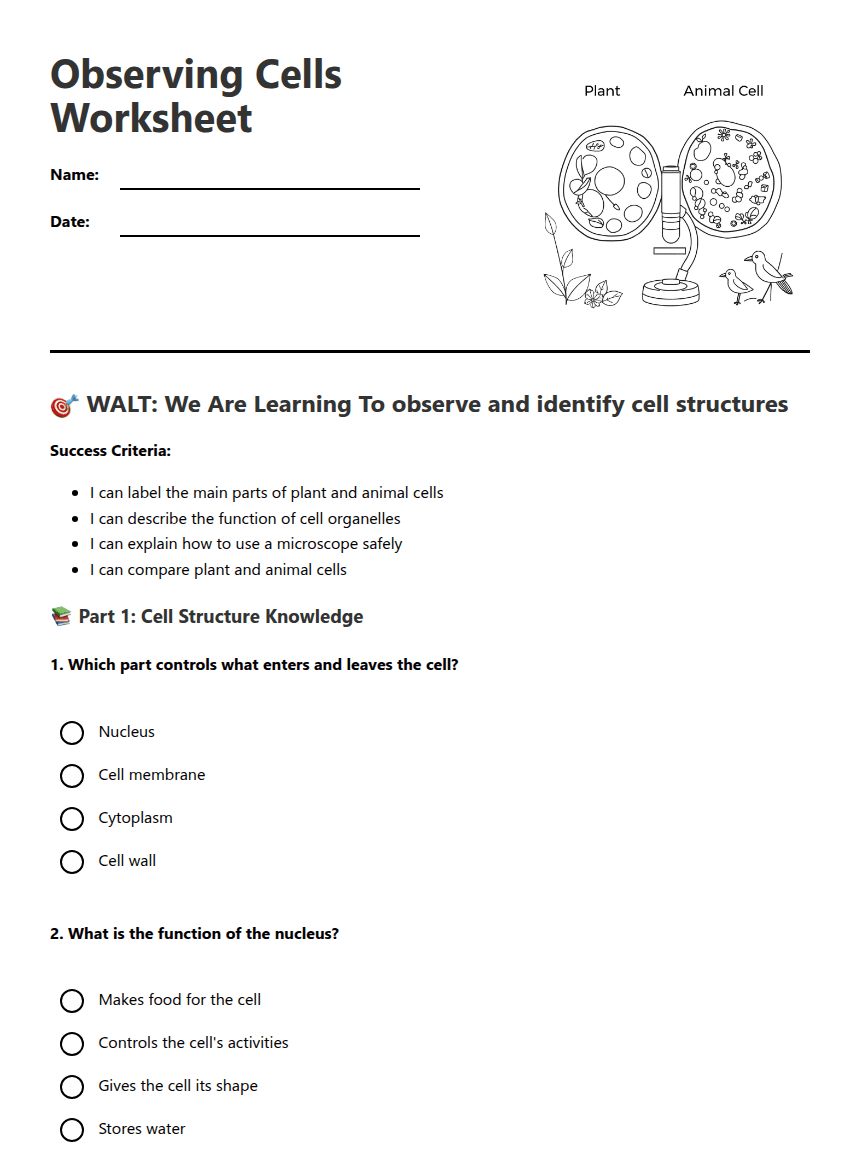 Observing Cells Worksheet worksheet preview