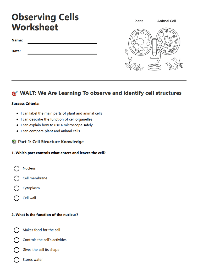 Observing Cells Worksheet