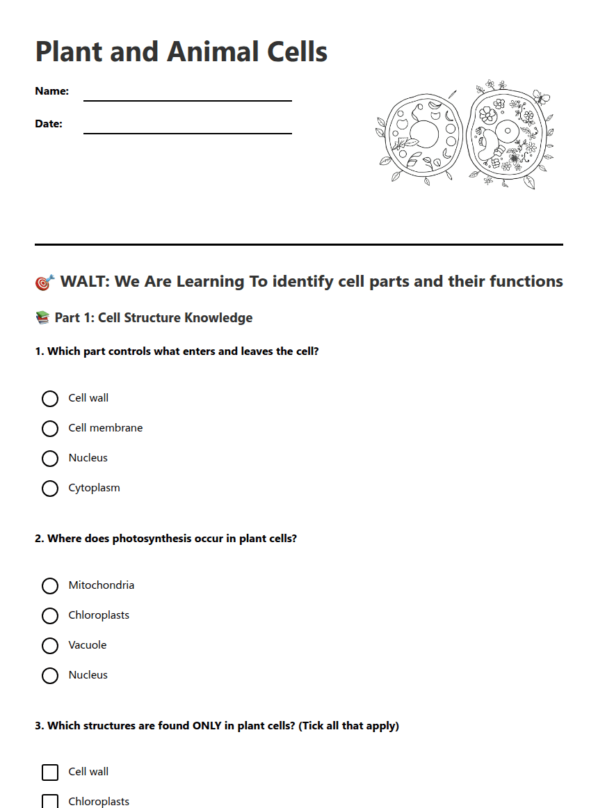 Plant and Animal Cells worksheet preview