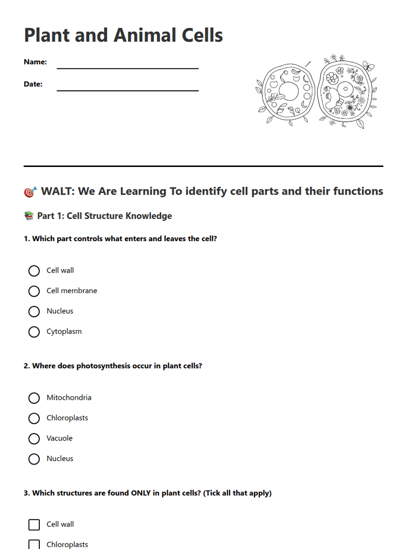 Plant and Animal Cells