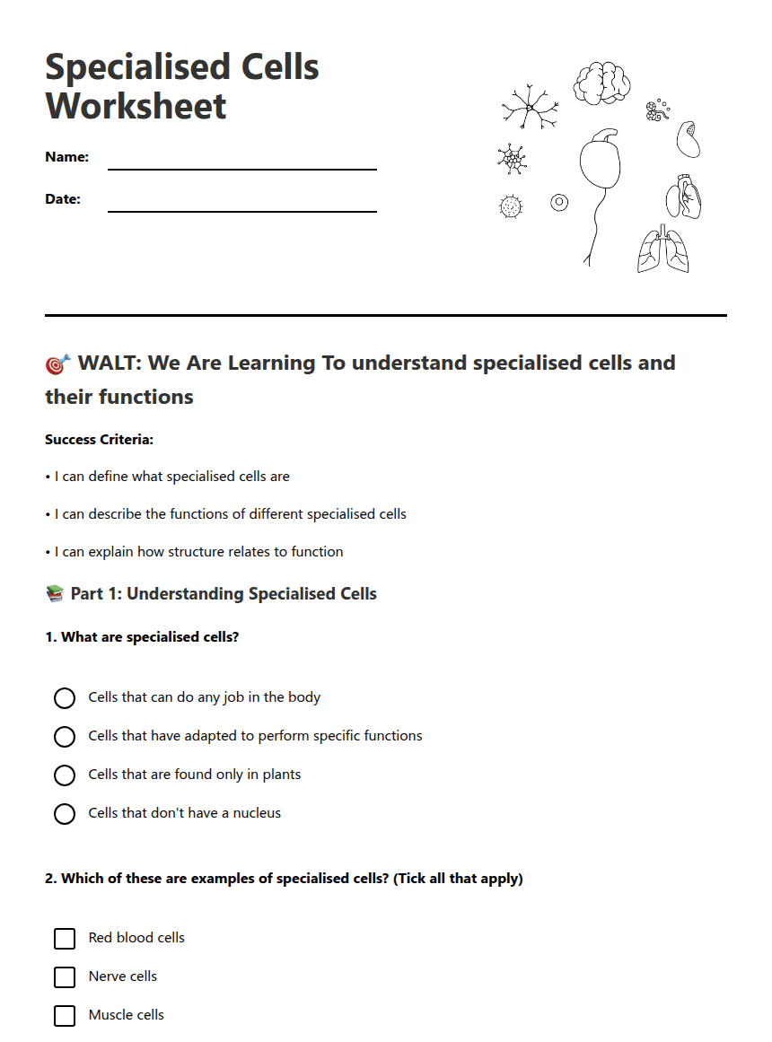 Specialised Cells Worksheet worksheet preview
