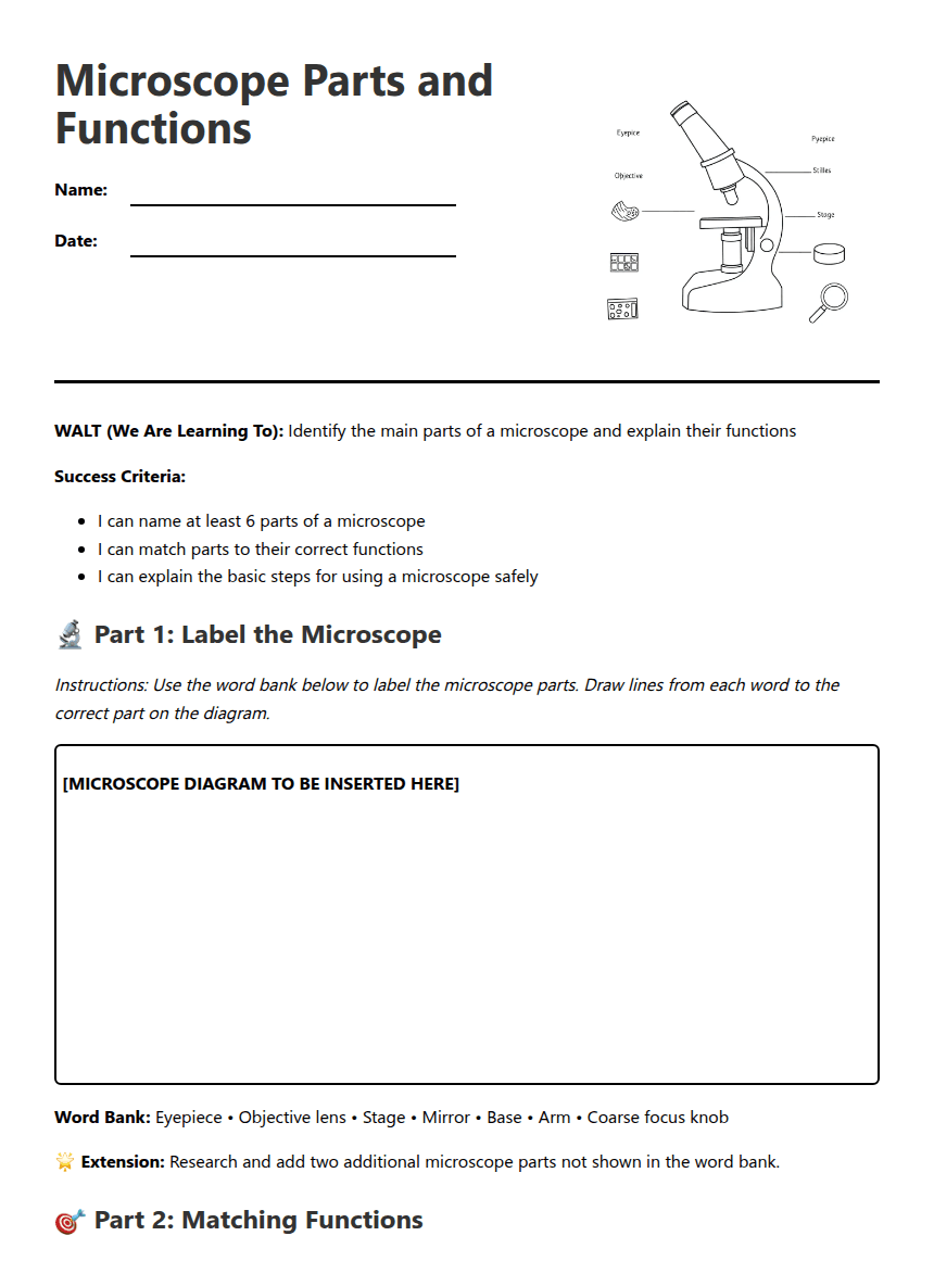 Microscope Parts and Functions worksheet preview