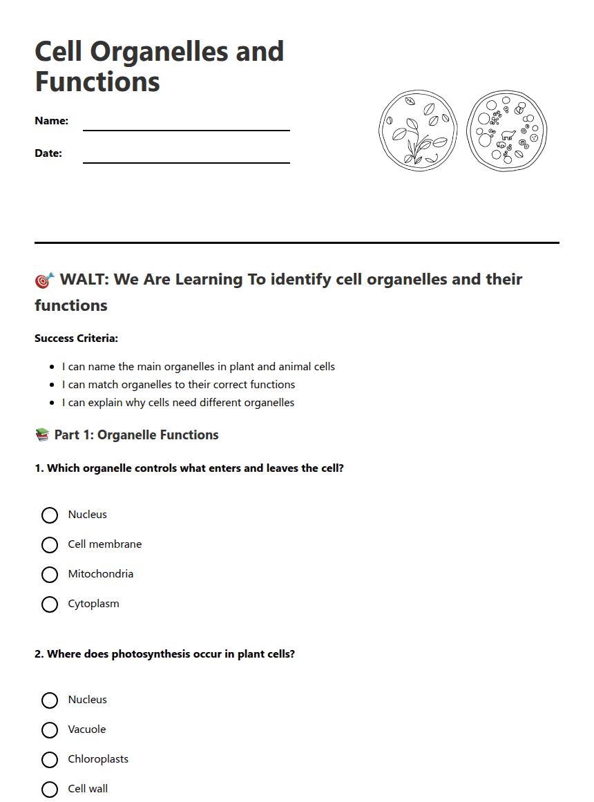Cell Organelles and Functions worksheet preview