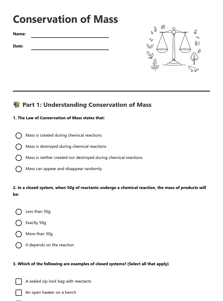 Conservation of Mass worksheet preview