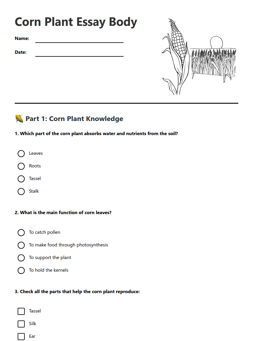 Corn Plant Essay Body worksheet preview