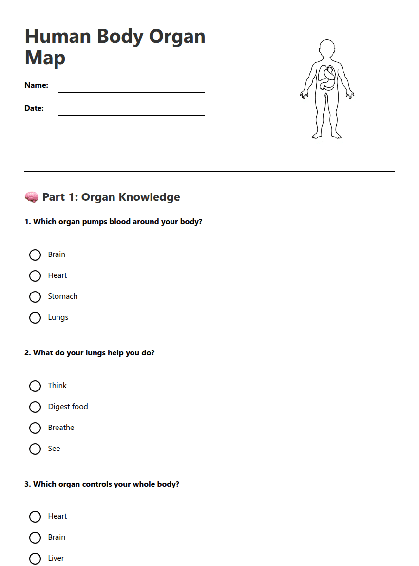 Human Body Organ Map worksheet preview