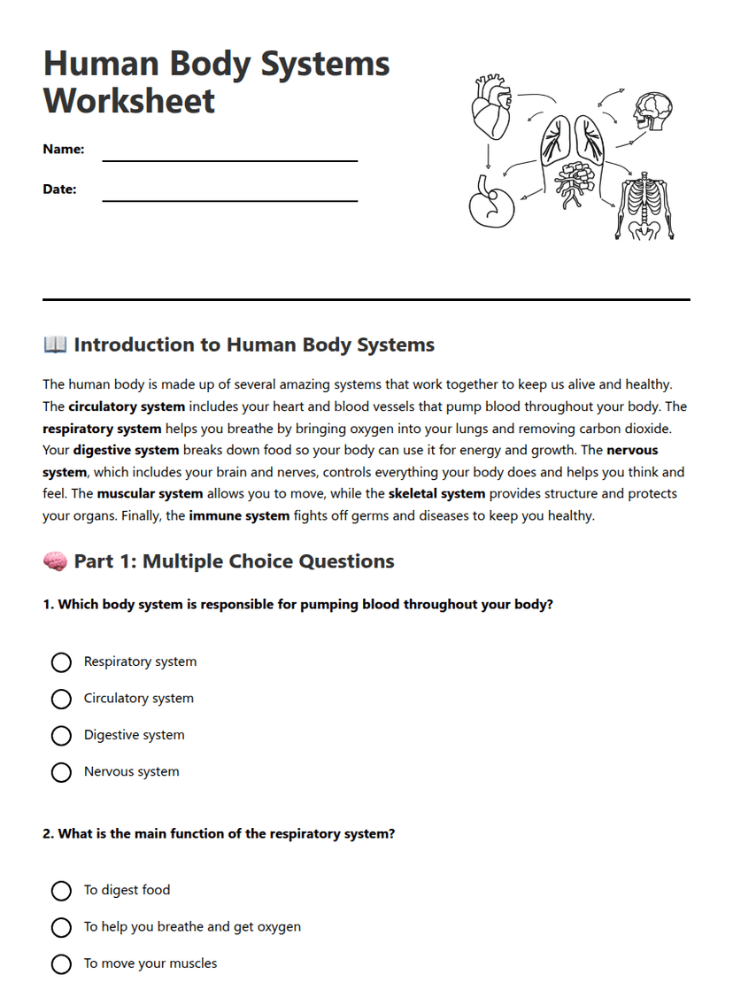 Human Body Systems Worksheet