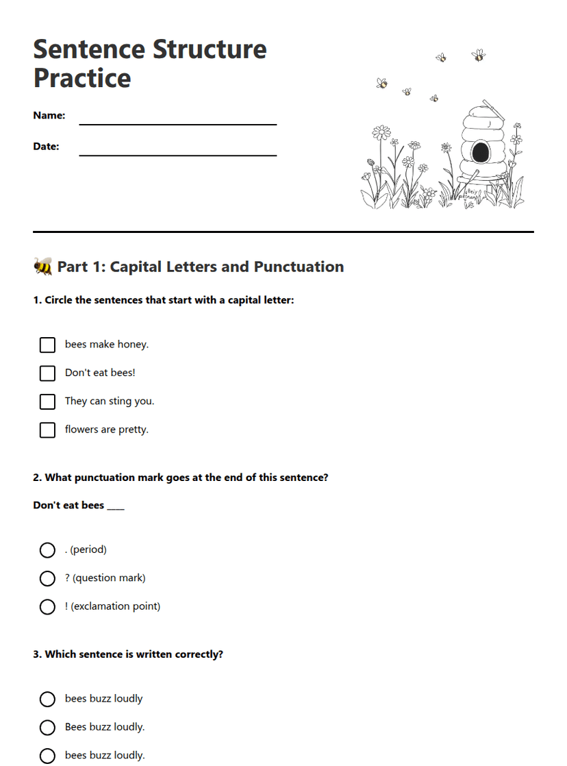 Sentence Structure Practice