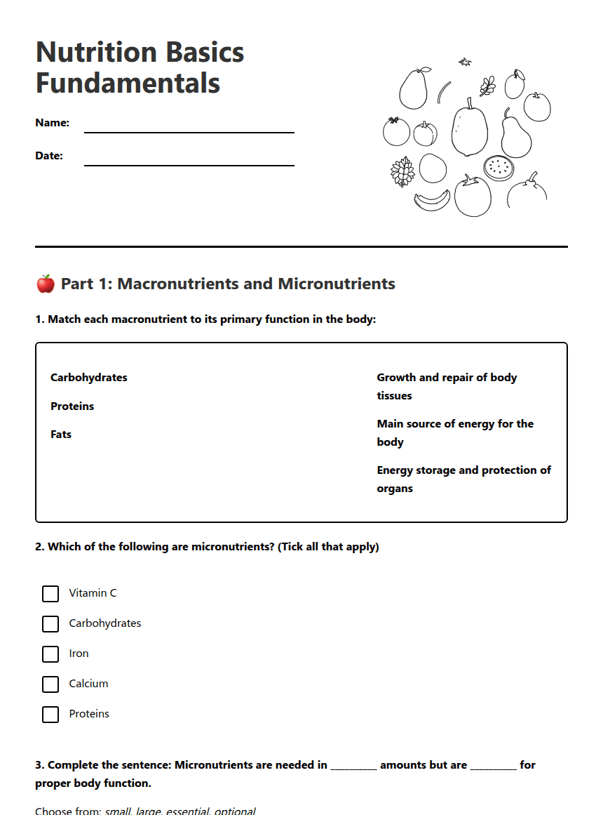 Nutrition Basics Fundamentals worksheet preview