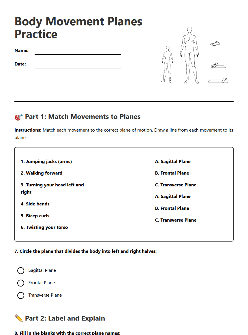 Body Movement Planes Practice worksheet preview