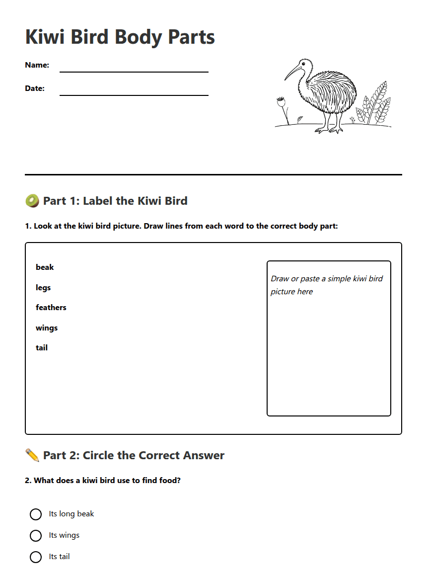 Kiwi Bird Body Parts worksheet preview