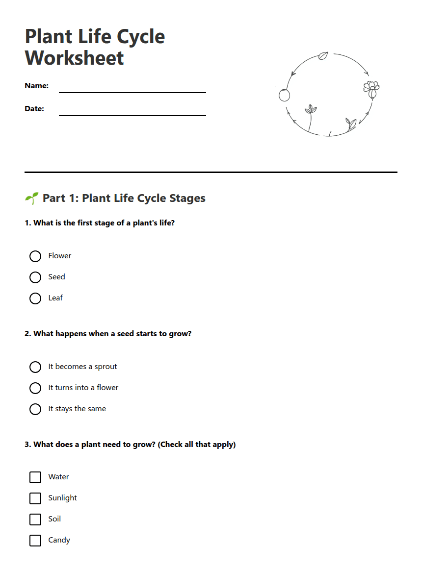 Plant Life Cycle Worksheet worksheet preview
