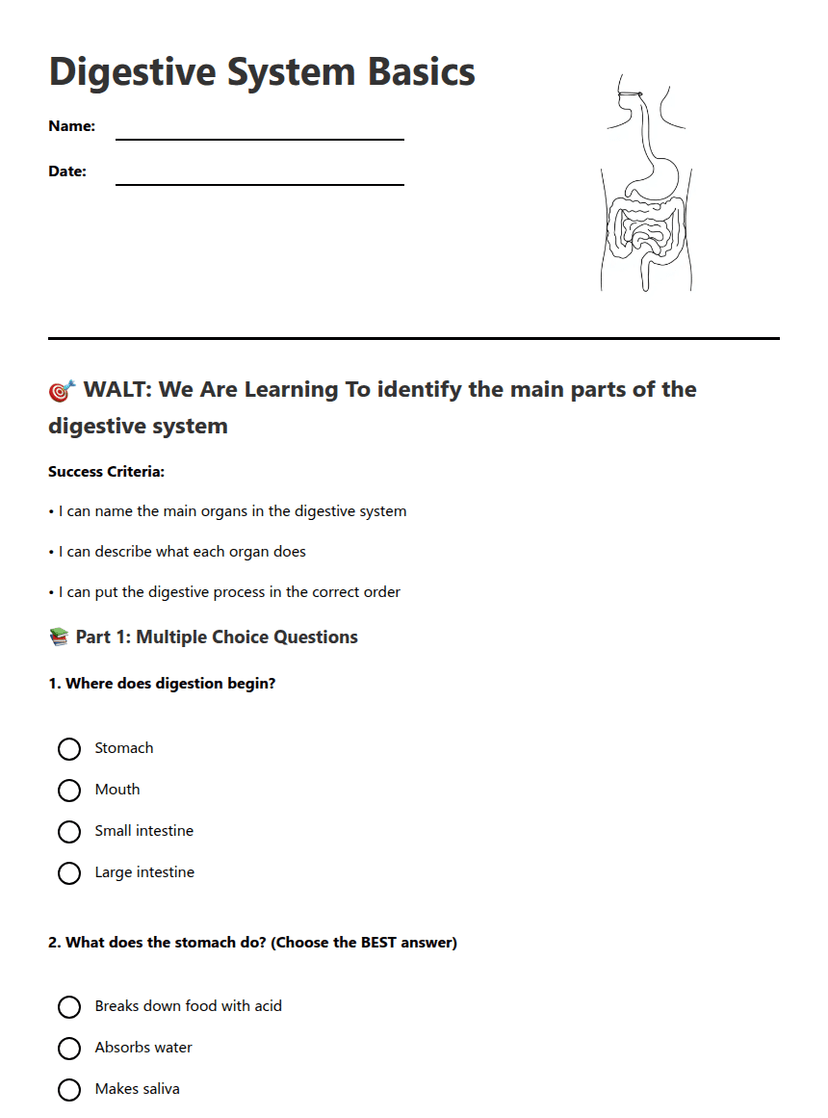 Digestive System Basics