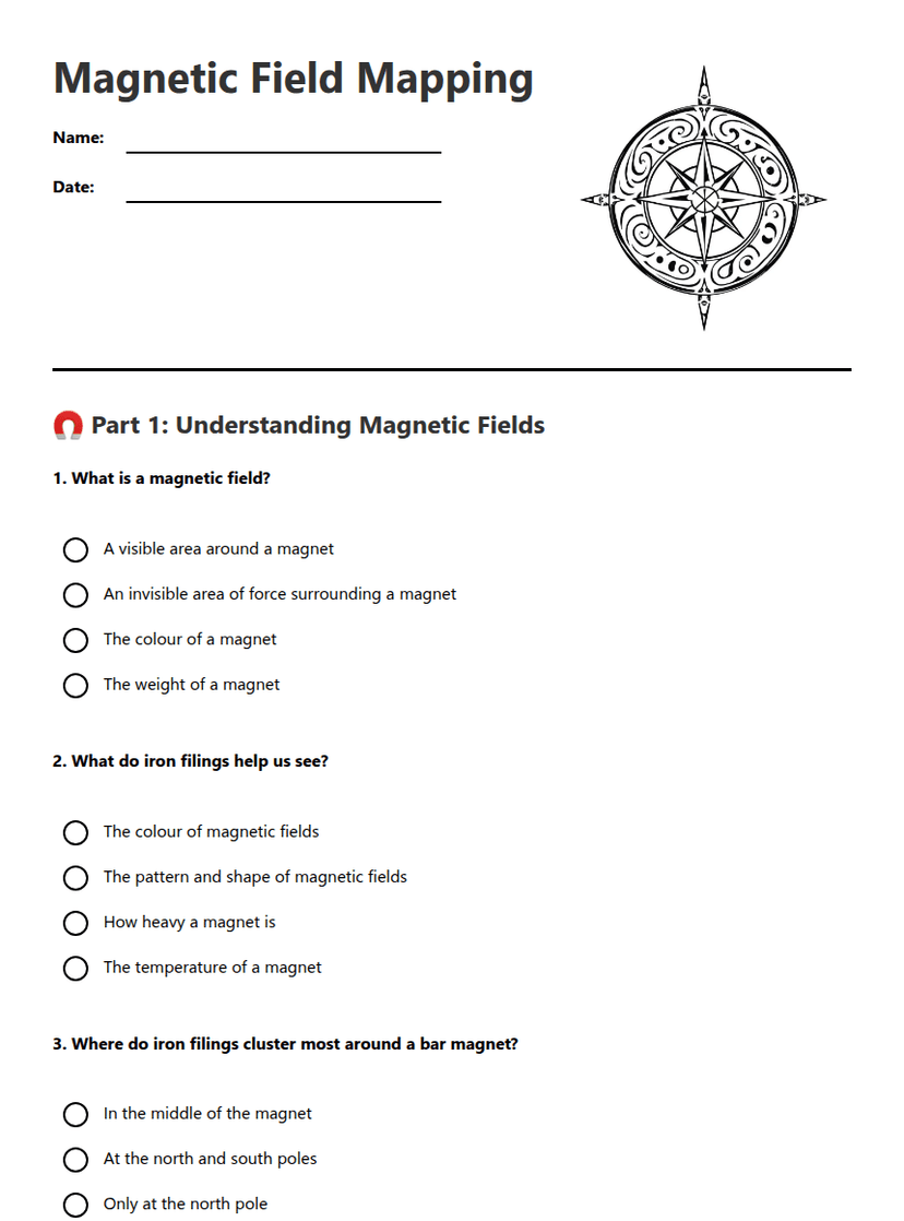 Magnetic Field Mapping