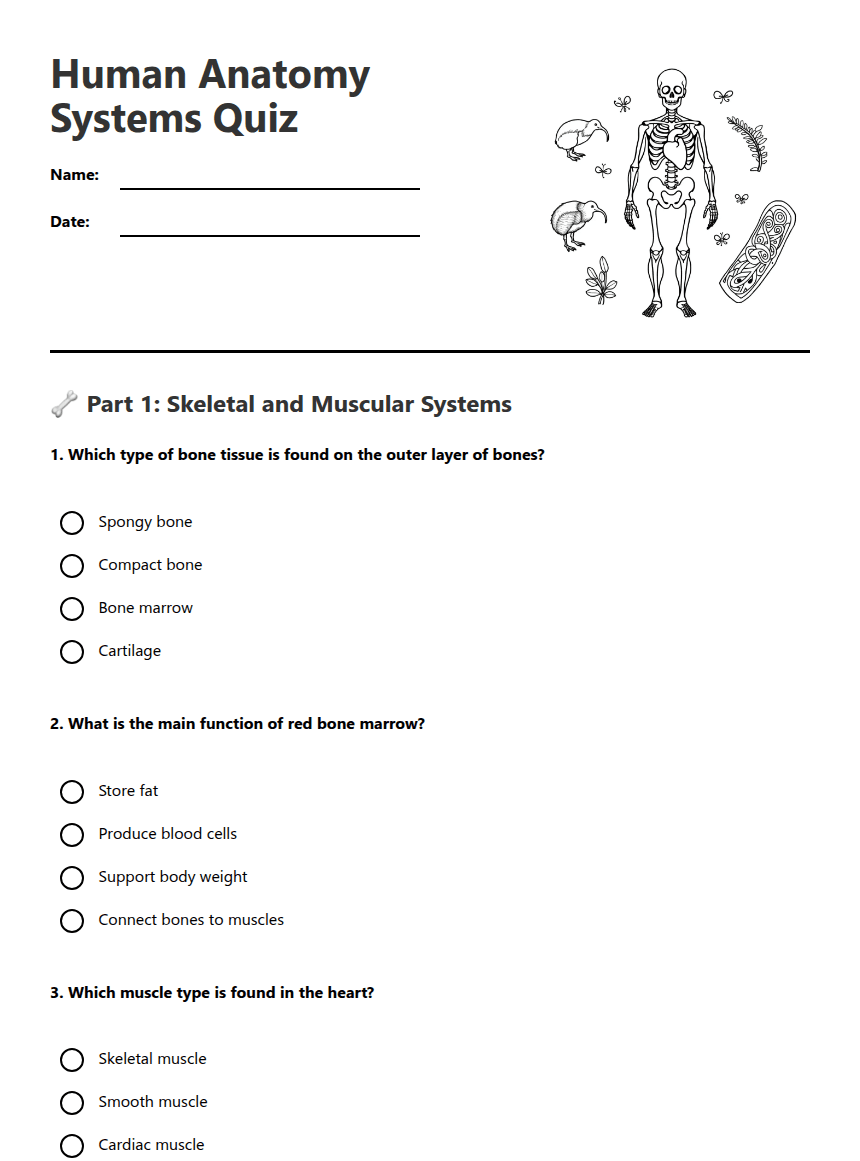 Human Anatomy Systems Quiz worksheet preview