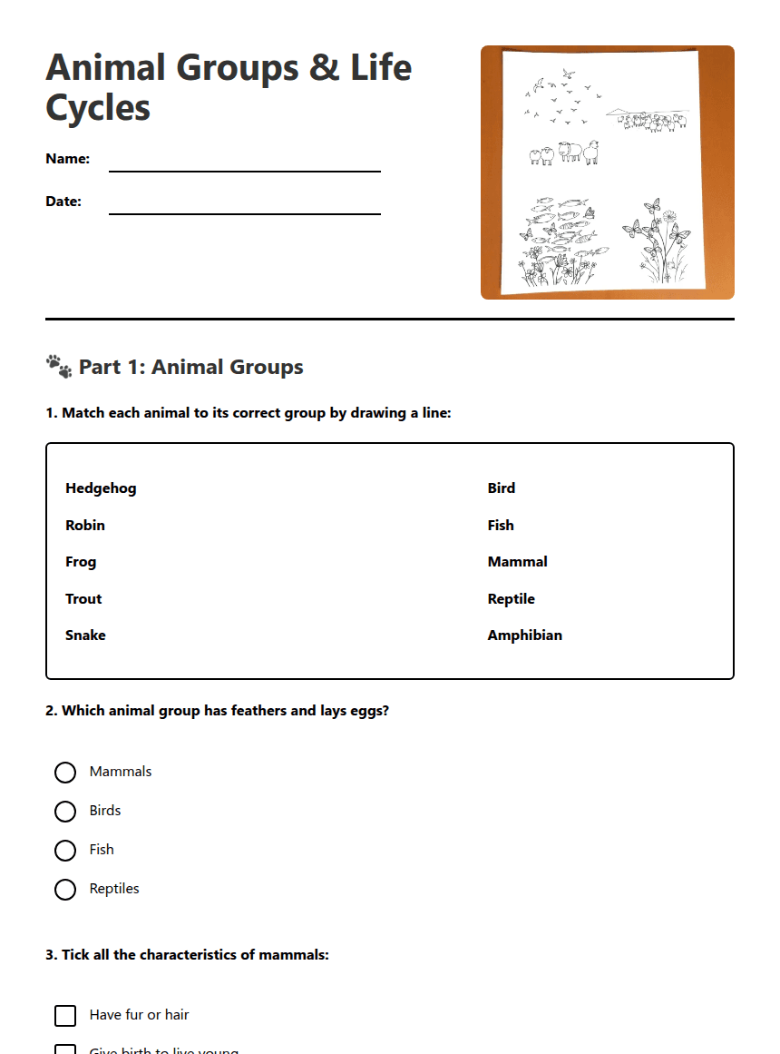 Animal Groups & Life Cycles worksheet preview