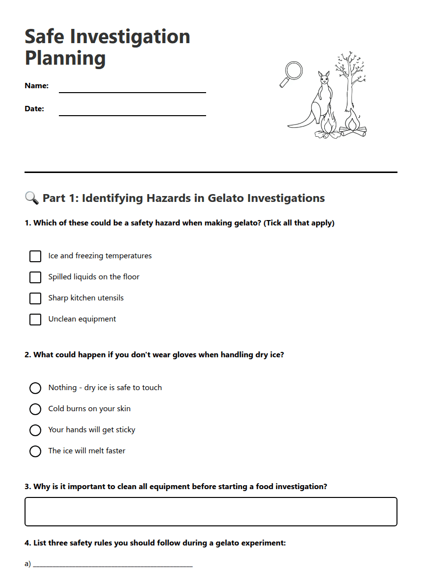 Safe Investigation Planning worksheet preview