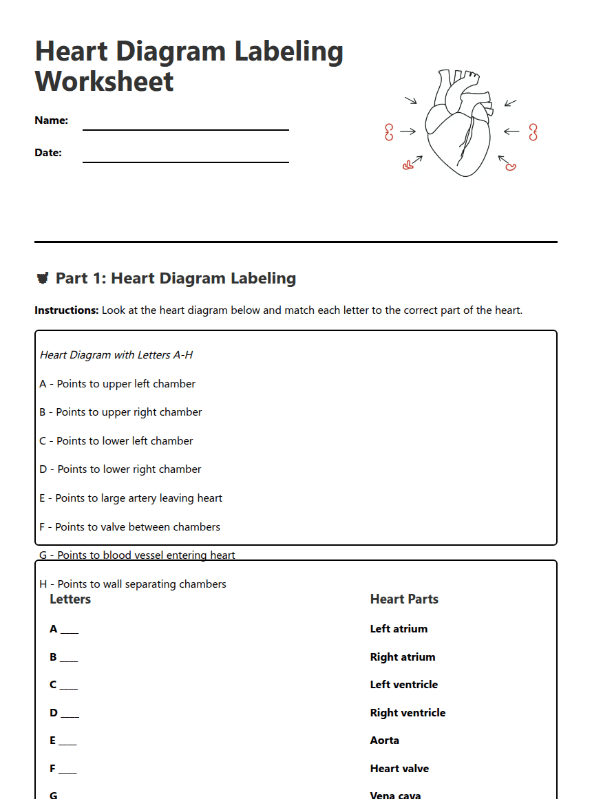 Heart Diagram Labeling Worksheet worksheet preview