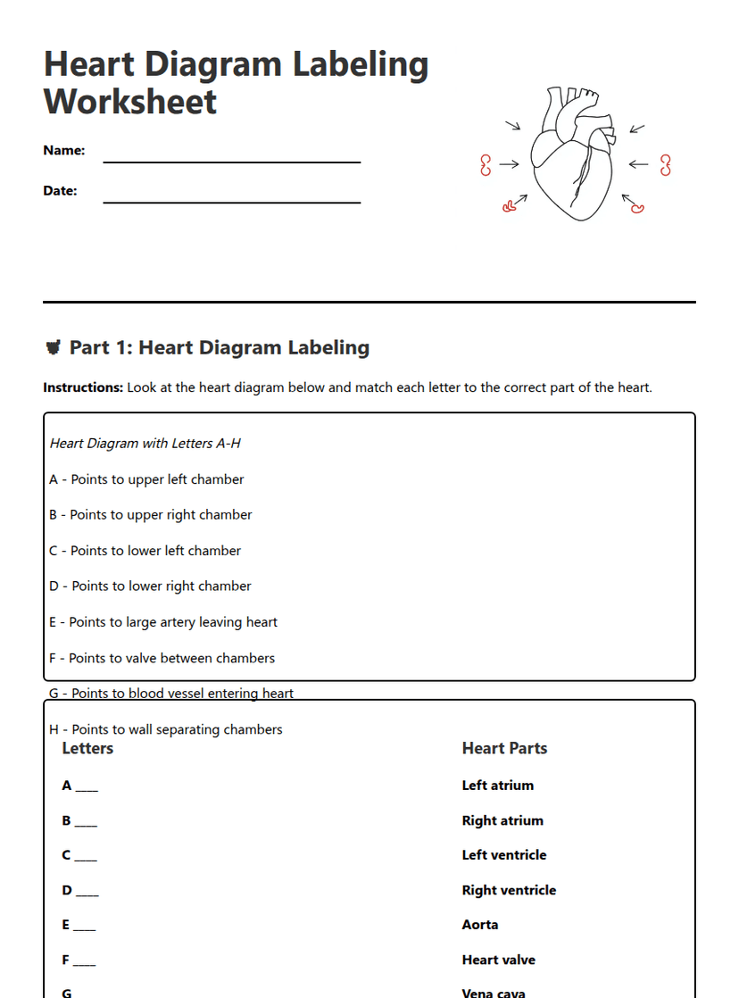 Heart Diagram Labeling Worksheet