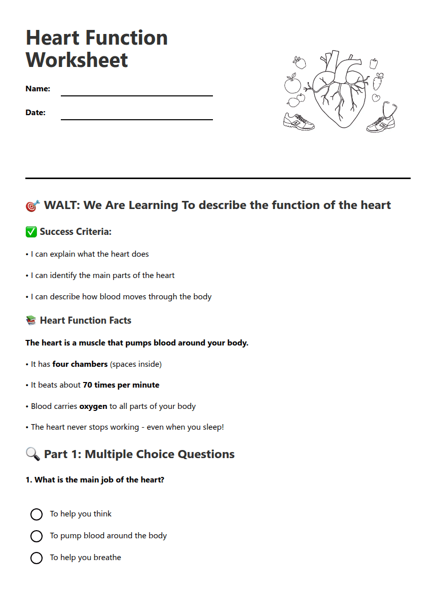 Heart Function Worksheet worksheet preview