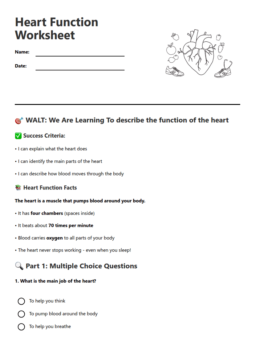 Heart Function Worksheet