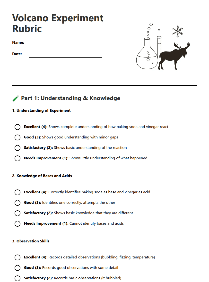 Volcano Experiment Rubric worksheet preview