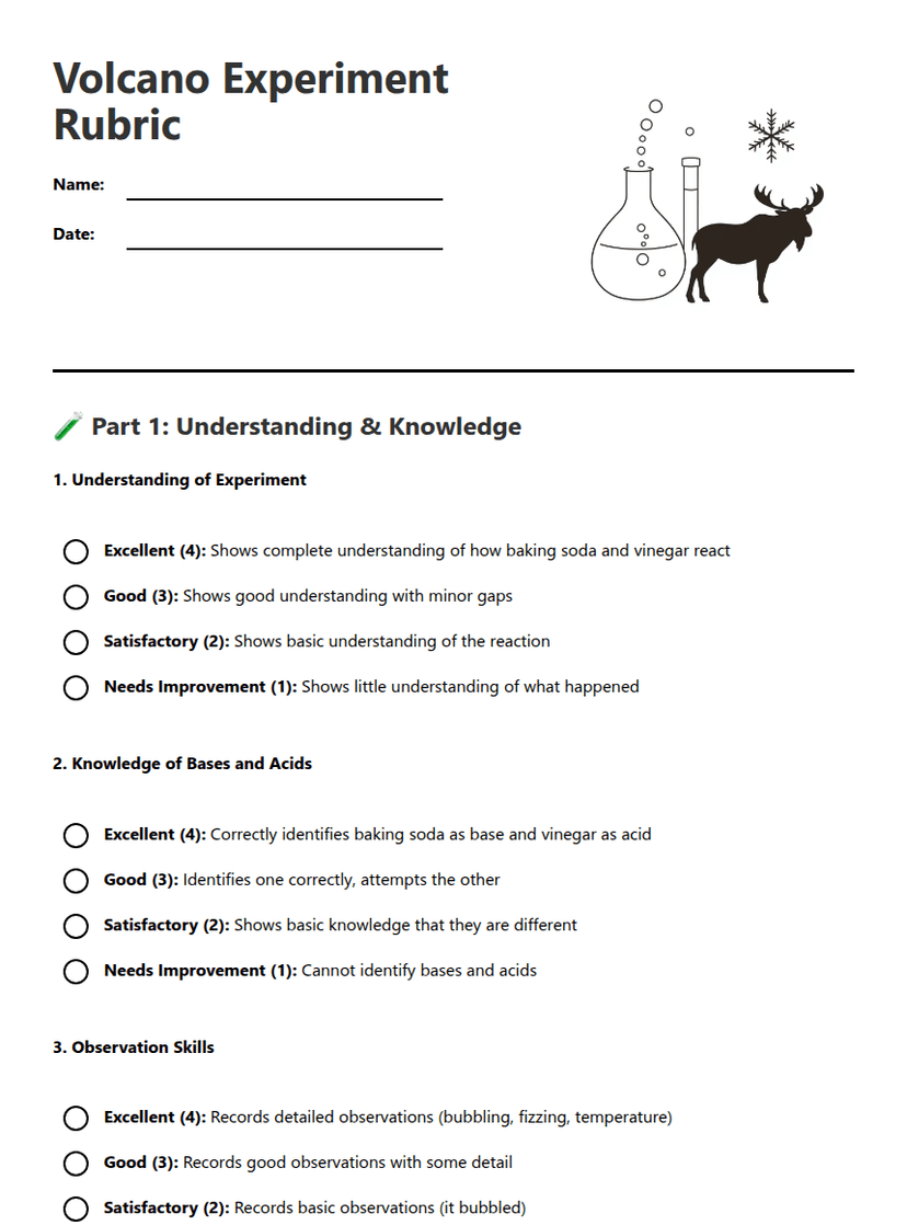 Volcano Experiment Rubric