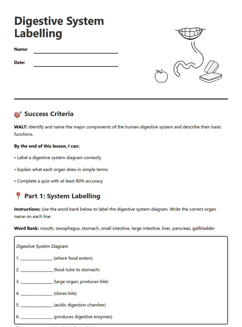 Digestive System Labeling