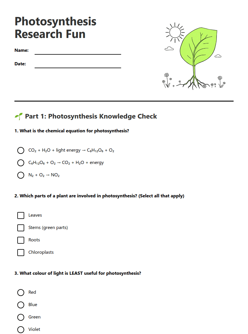 Photosynthesis Research Fun worksheet preview