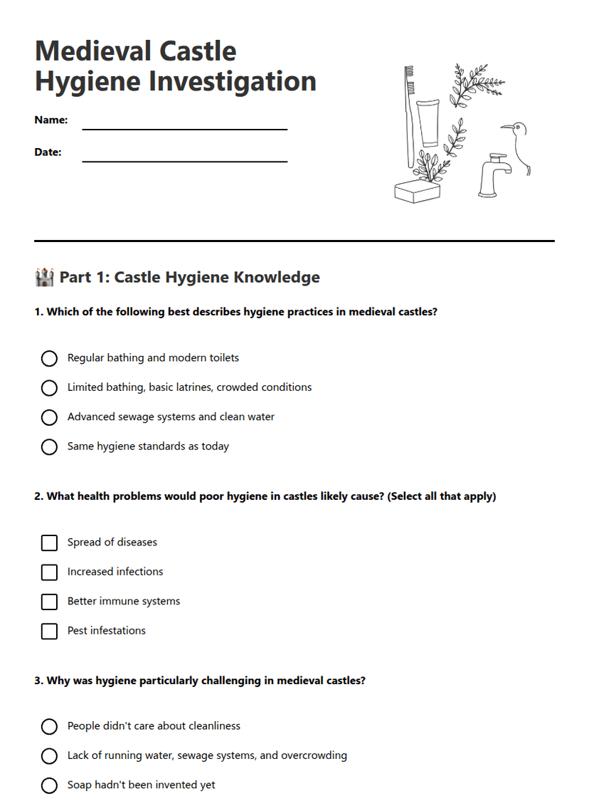 Medieval Castle Hygiene Investigation