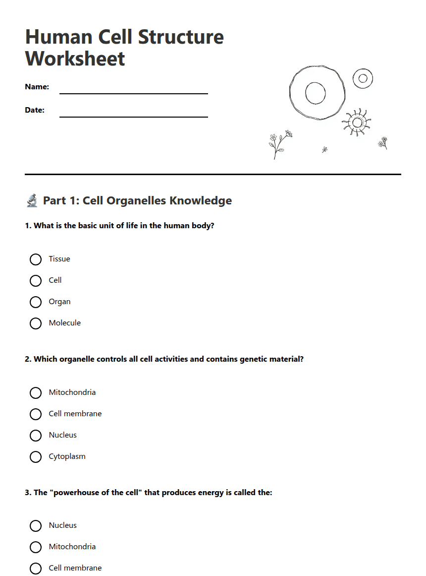 Human Cell Structure Worksheet worksheet preview
