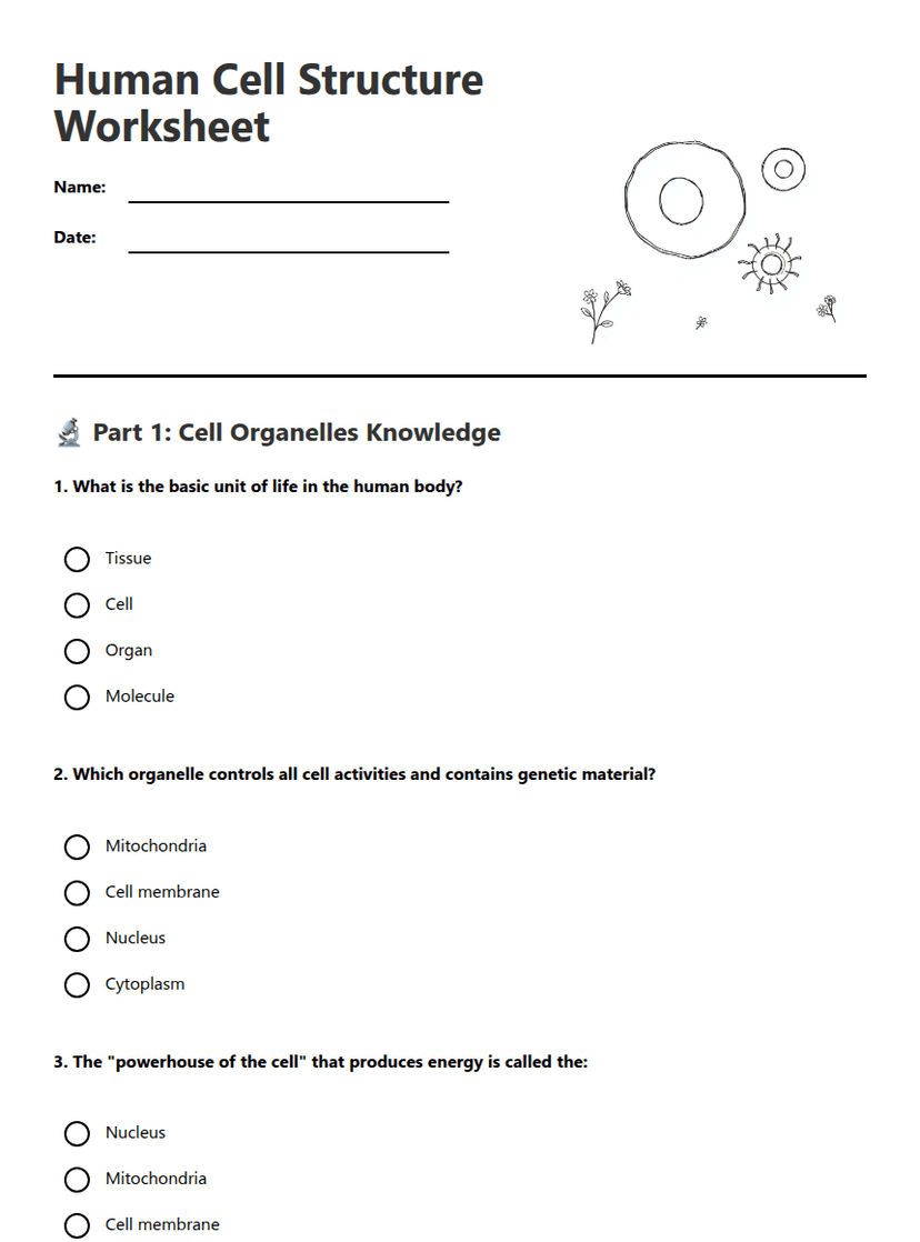 Human Cell Structure Worksheet