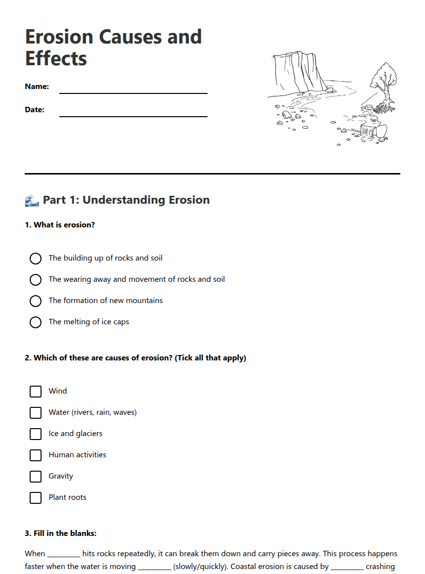 Erosion Causes and Effects worksheet preview