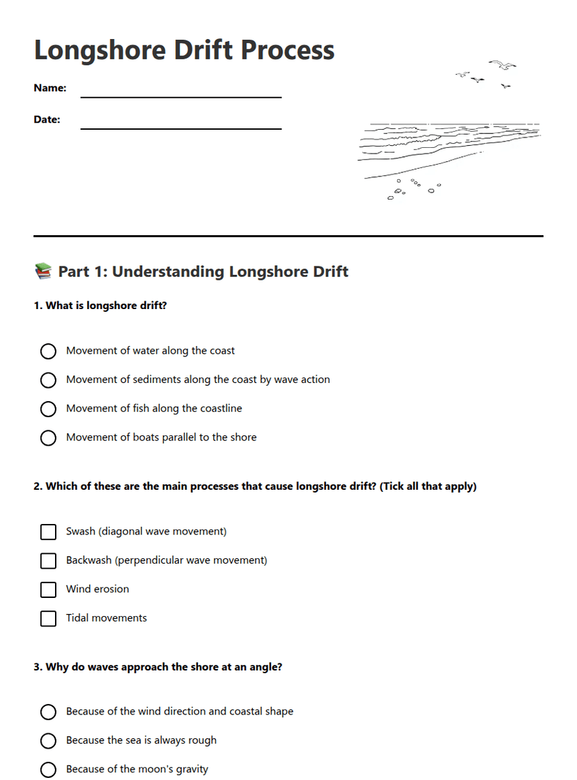 Longshore Drift Process