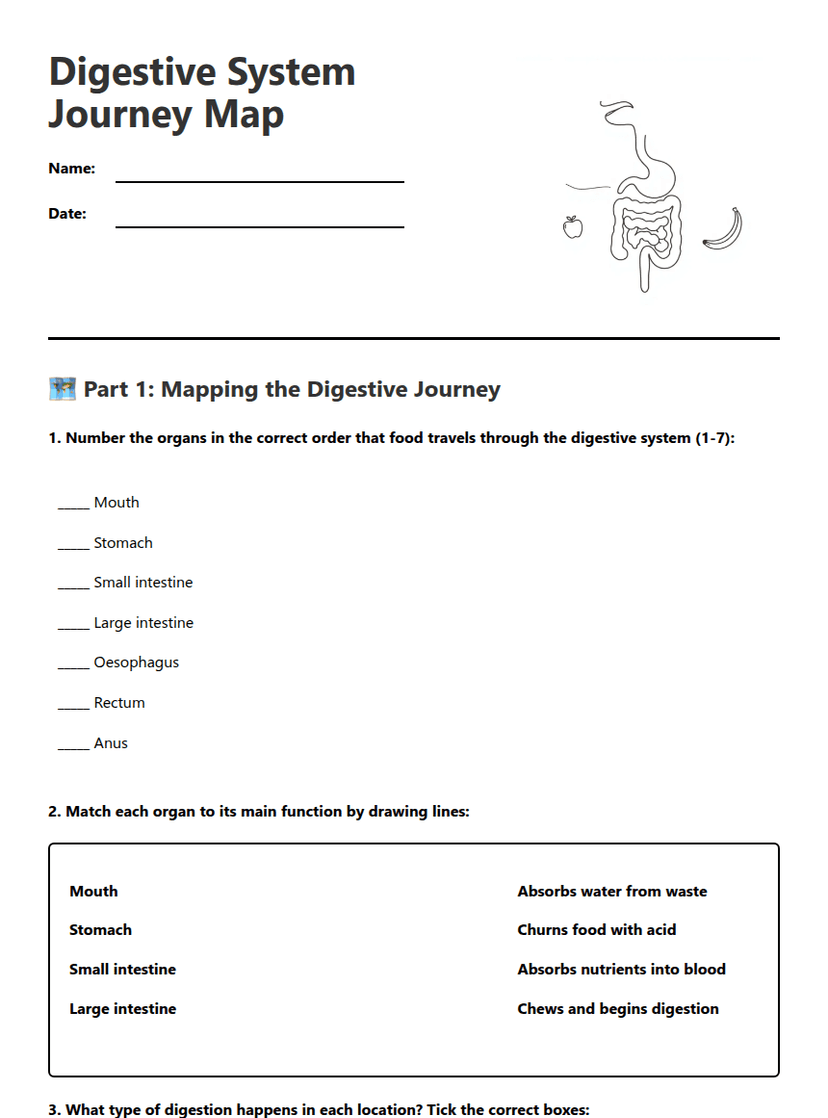 Digestive System Journey Map