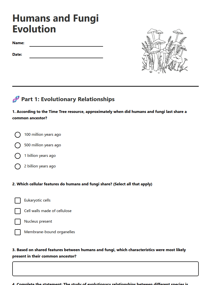 Humans and Fungi Evolution worksheet preview