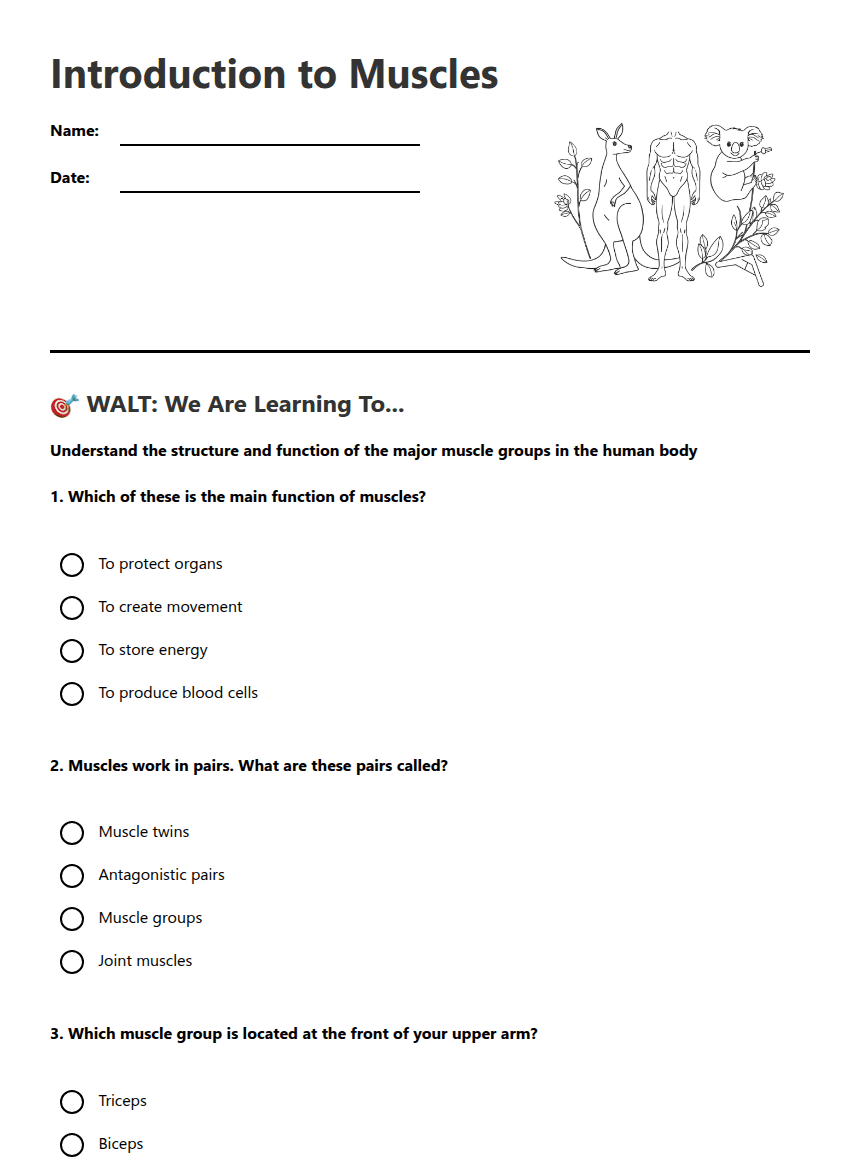 Introduction to Muscles worksheet preview