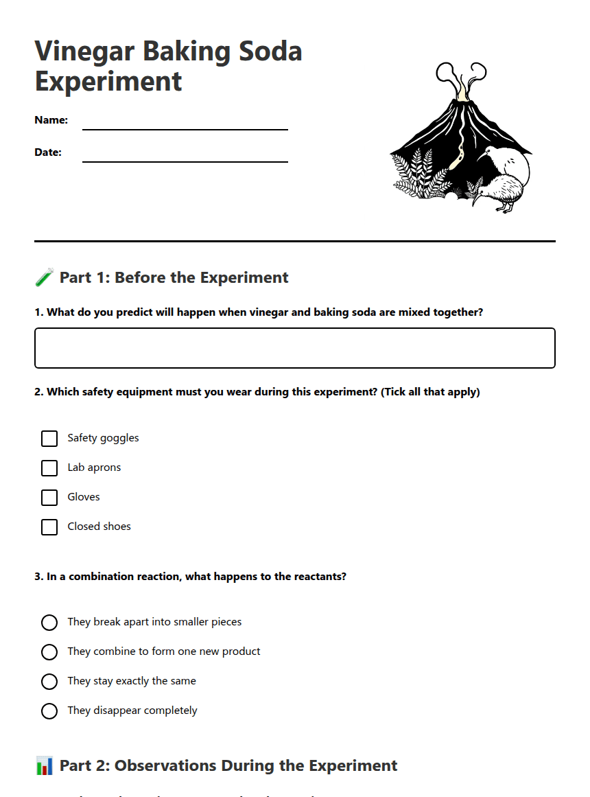 Vinegar Baking Soda Experiment worksheet preview