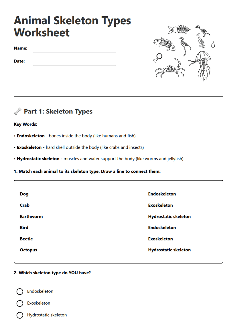 Animal Skeleton Types Worksheet